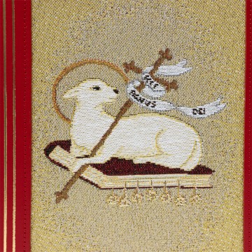 Coprilezionario in Pelle Rossa