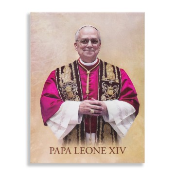 Quadro di Papa Leone XIV su...