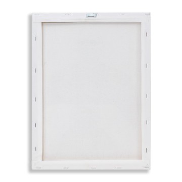 Quadro di Papa Leone XIV su...