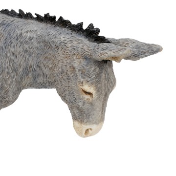 Asino del Presepe Landi 18...