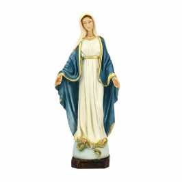 Statua Madonna Miracolosa 20 cm