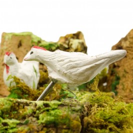 Galline per il Presepe in Movimento