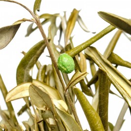 Battitore di Olive Presepe Movimento