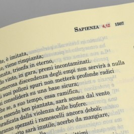 Bibbia di Gerusalemme...