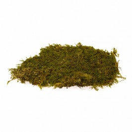 Muschio Naturale 350 gr