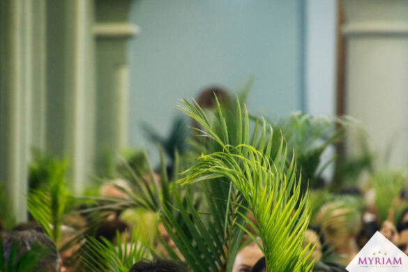 La storia e il significato della festa della Domenica delle Palme